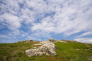 Skomer Rocks